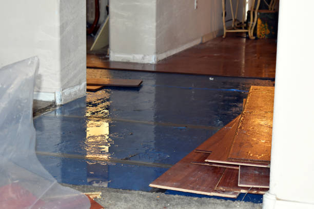 Professional Burst Pipe Cleanup technician working in Dryden, MI