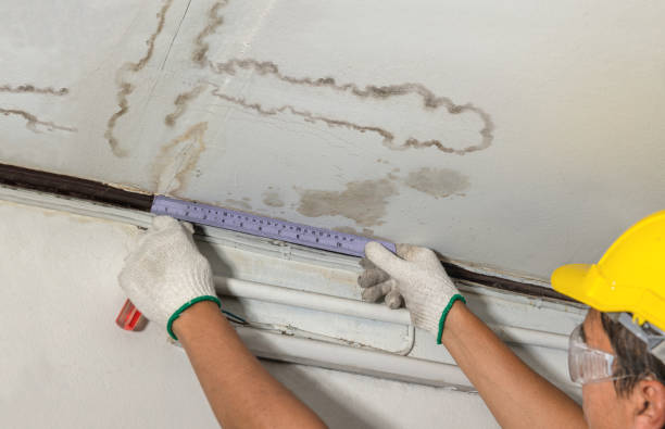 Reliable Burst Pipe Cleanup contractor in Dryden, MI by Water Damage Irwin